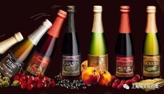 紅酒知識講座 探索酒精飲料的優(yōu)雅世界